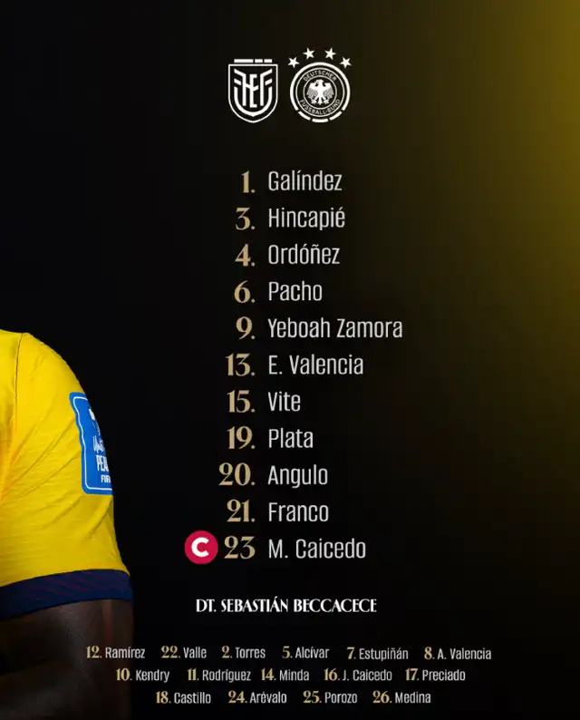 Alineación de Ecuador.