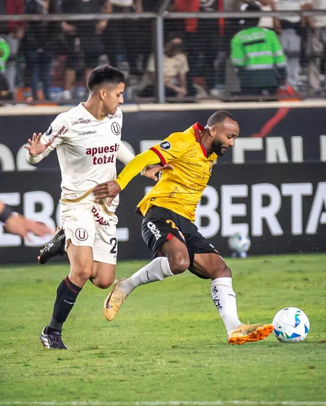 Universitario