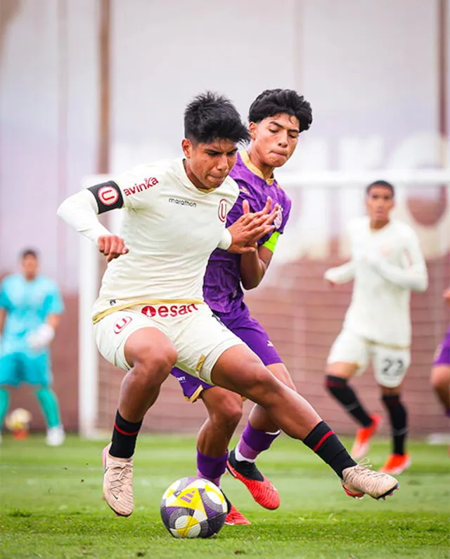 Universitario Universitario