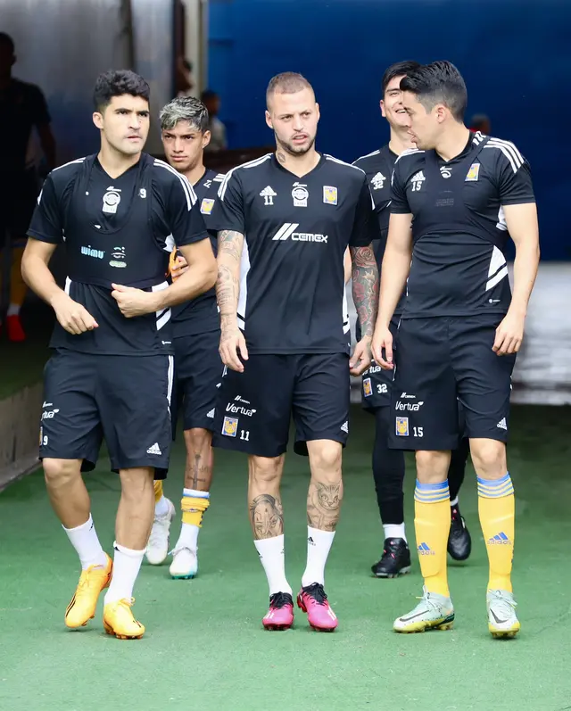 Tigres