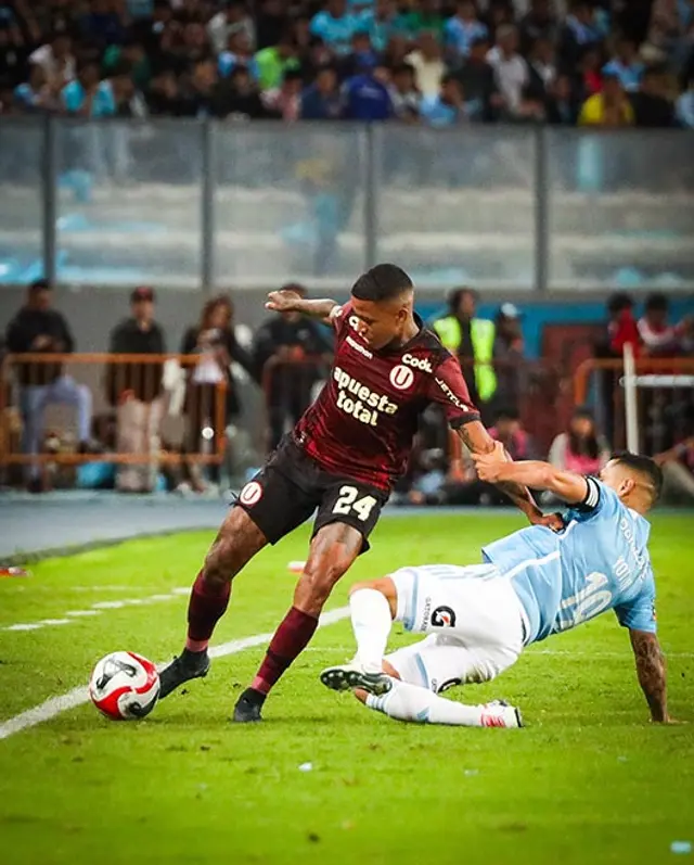 Universitario