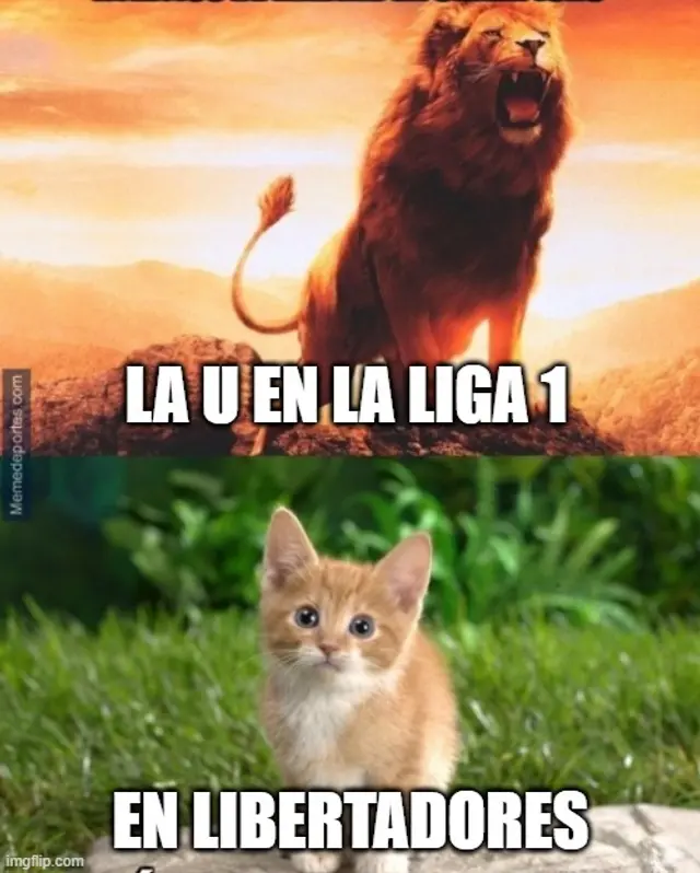 libero.pe