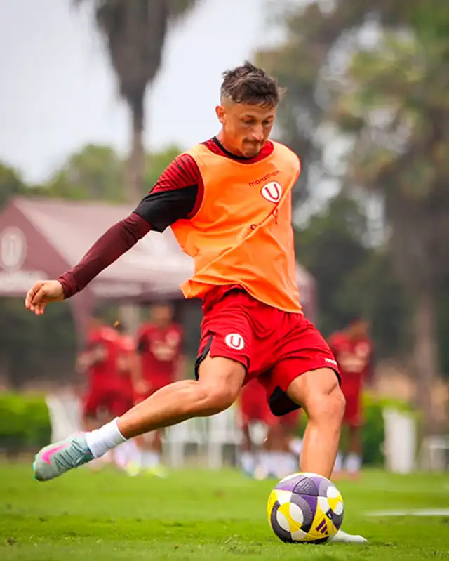 Héctor Fértoli, Universitario