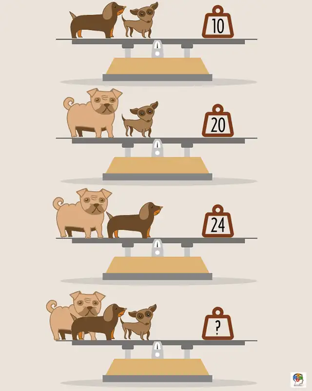  ¿Puedes completar la suma? Descifra el valor de cada perro en este reto / Foto: Facebook   