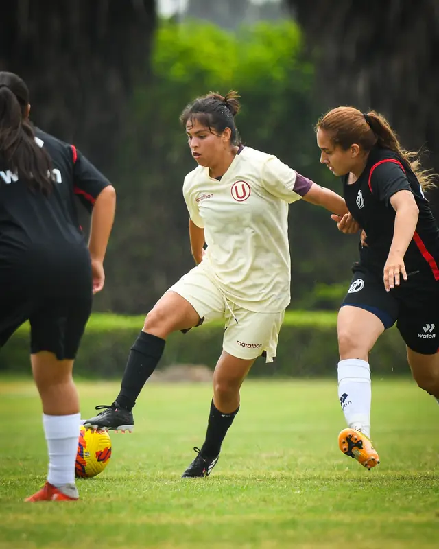 Universitario