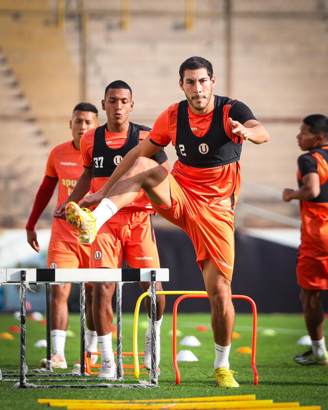 Universitario