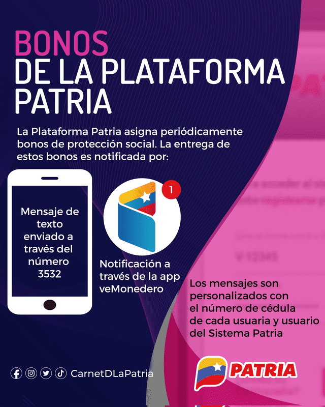 bonos de sistema patria