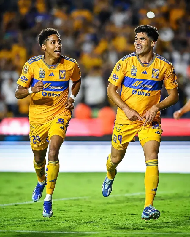 Tigres