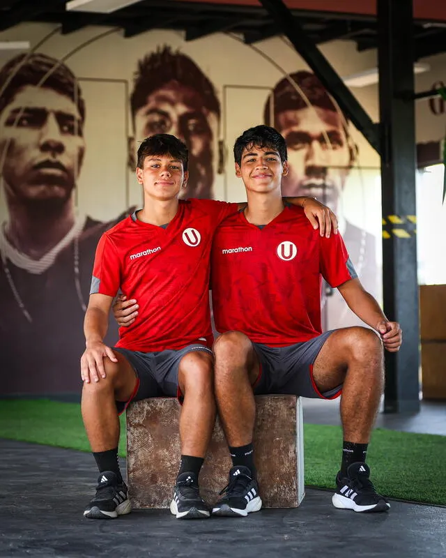 Universitario