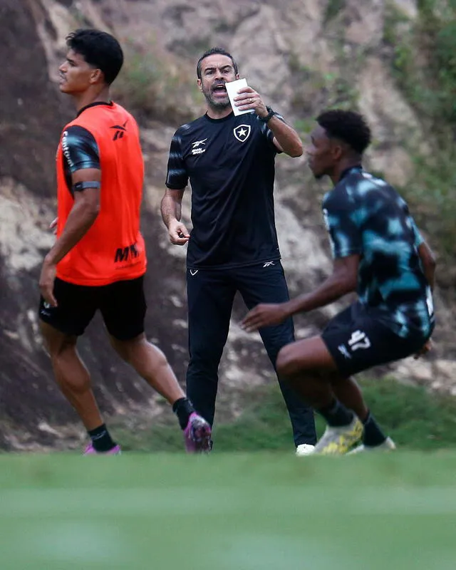 Artur Jorge, Botafogo