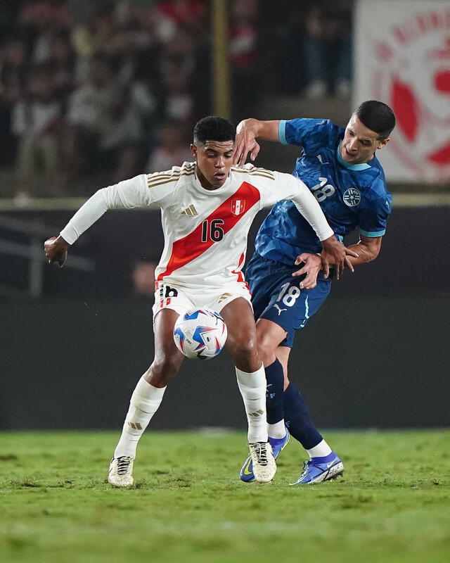 Wilder Cartagena, Selección Peruana