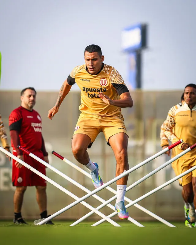 Universitario