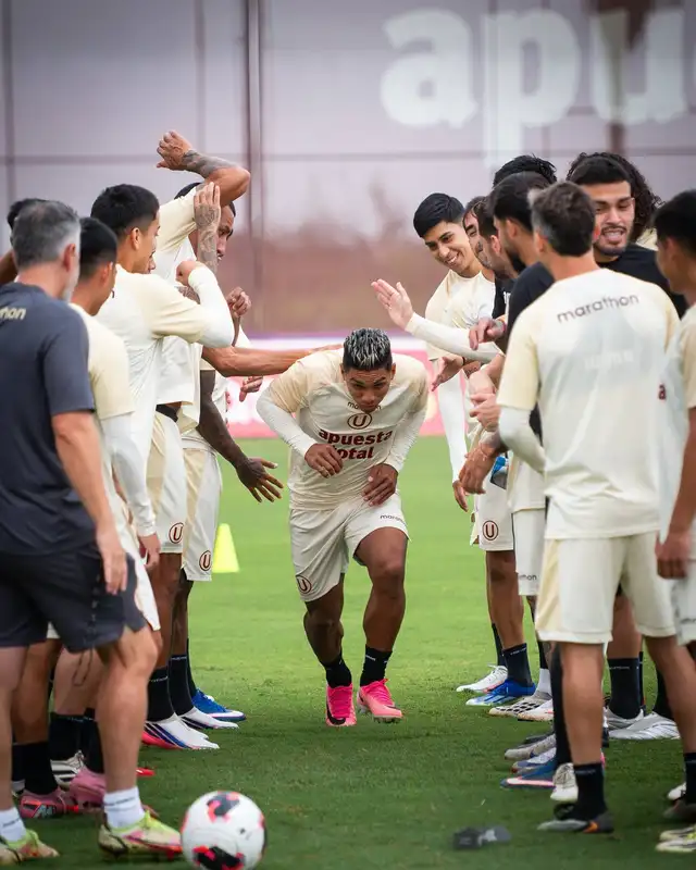 Universitario, Liga 1 Universitario, Liga 1