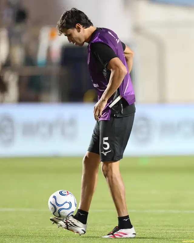 Nahuel Ferraresi, Botafogo, Cienciano, Copa Sudamericana