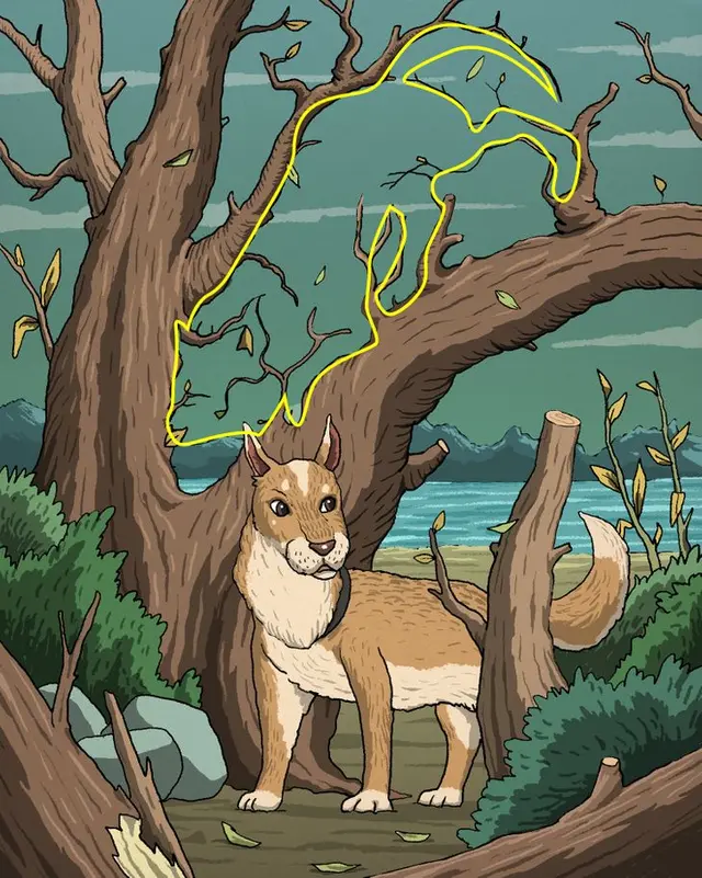 Test visual Test visual