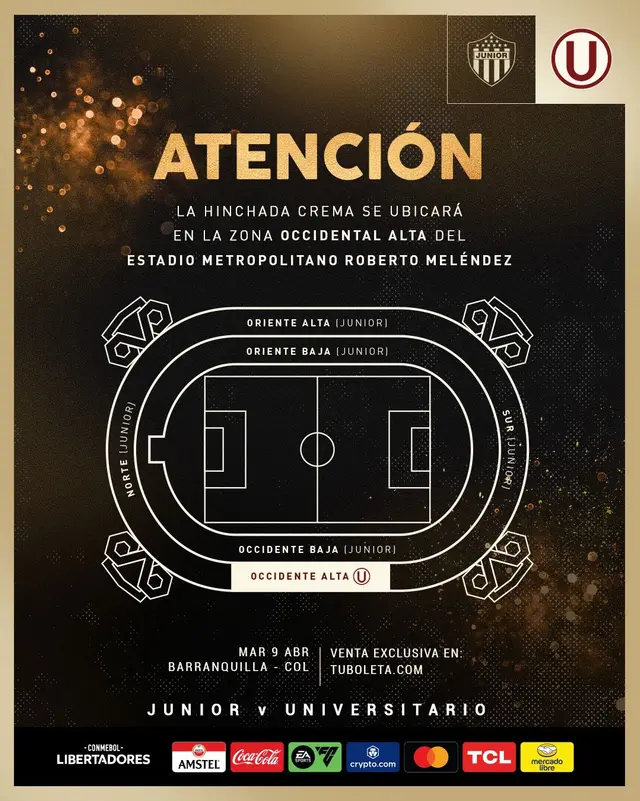 Junior, Universitario