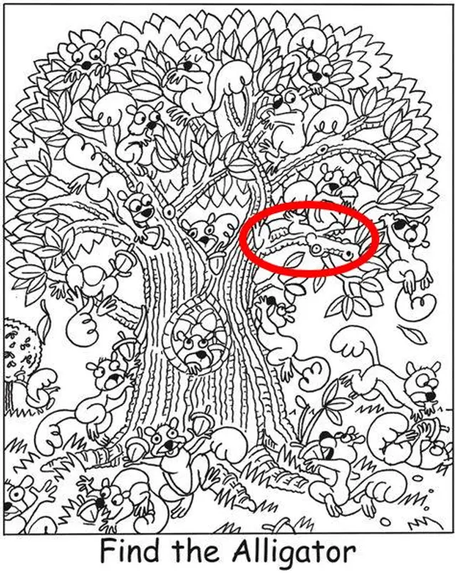 reto visual reto visual