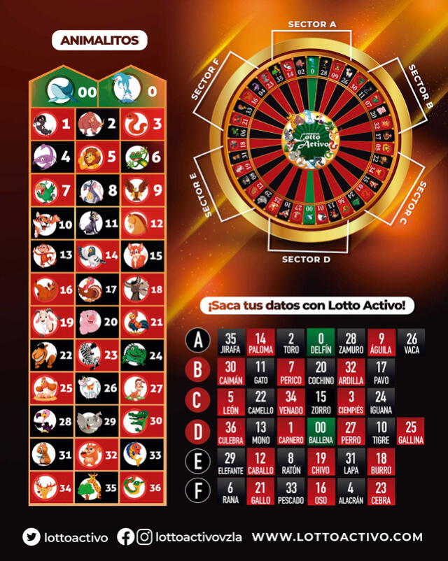 Lotto Activo Lotto Activo