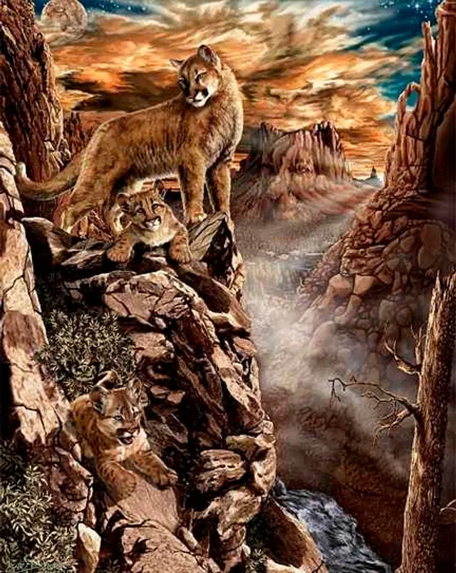 Reto visual: identifica a los tigres. Reto visual: identifica a los tigres.