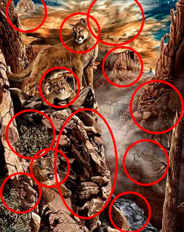 Retos visuales. Retos visuales.