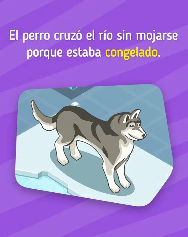 (IMAGEN GENIAL.GURU) (IMAGEN GENIAL.GURU)