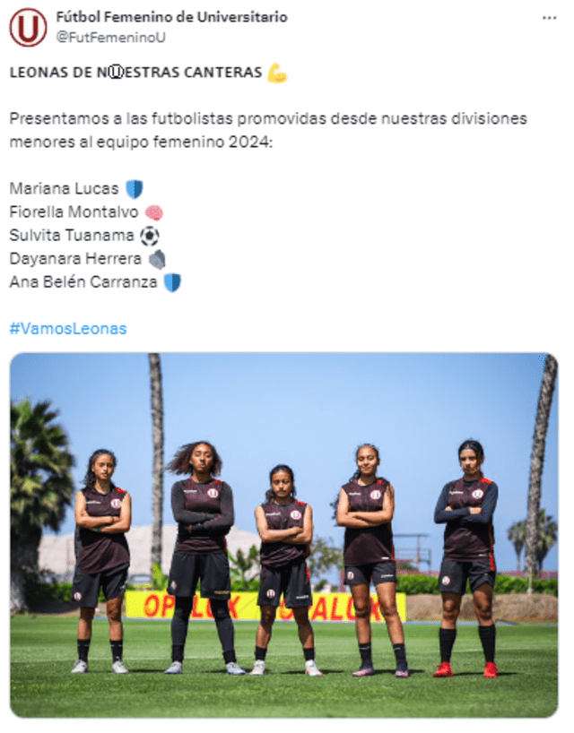 Universitario