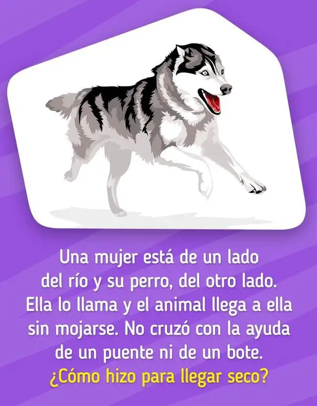 (IMAGEN GENIAL.GURU) (IMAGEN GENIAL.GURU)