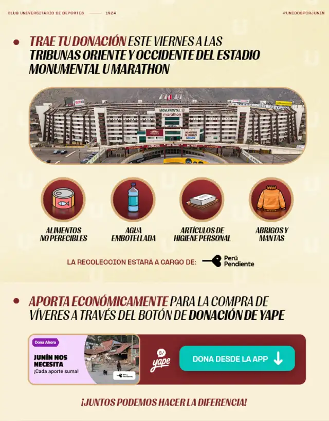Detalles de lo que se pide para la región Junín