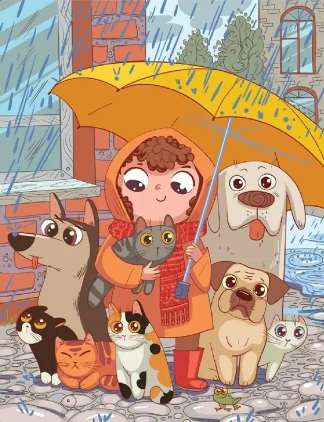 reto visual reto visual