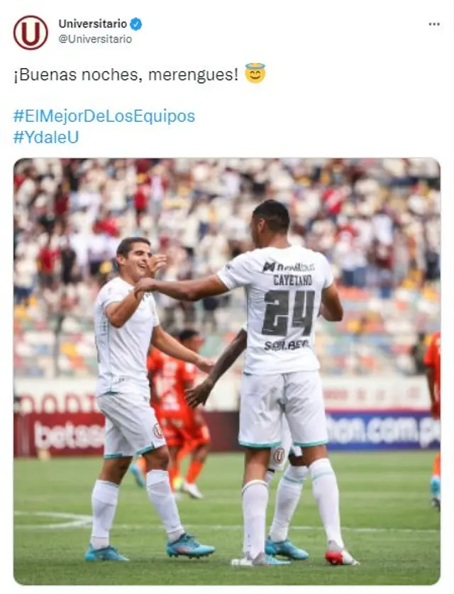 Universitario