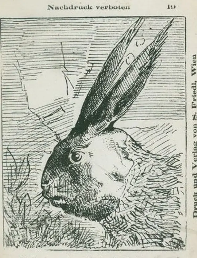 ¿Dónde está el dueño del conejo? Responde en 4 segundos. | Fuente: Genial gurú