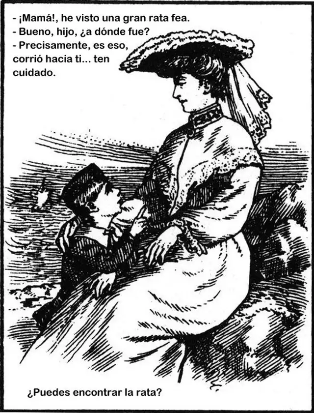 ¿Dónde está la rata camuflada? Encuéntrala en segundos | Fuente: Genial gurú