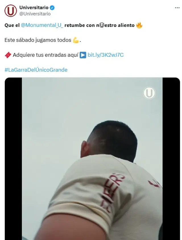 Universitario