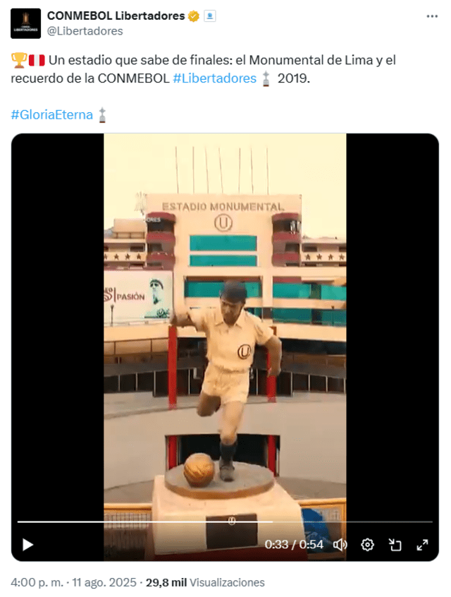 Estadio Monumental, Copa Libertadores