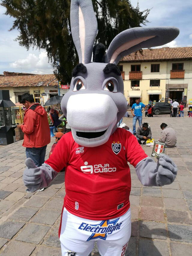 "Burro Rolando" la mascota de Cienciano "Burro Rolando" la mascota de Cienciano