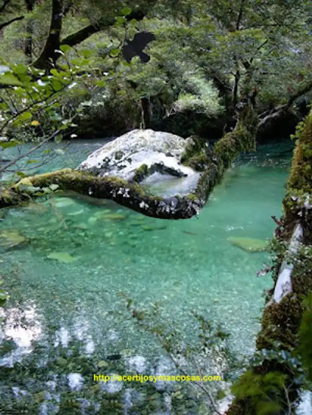  Halla al hombre oculto de la fotografía en solo tienes 15 segundos / Foto: <strong>Acertijosymascosas.com</strong>    