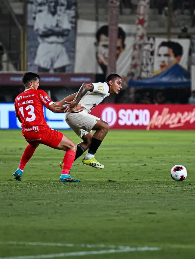 Alex Valera | Paloma del Solar Alex Valera | Paloma del Solar