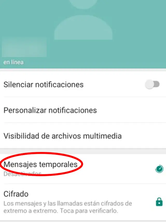 Activa la opción.   