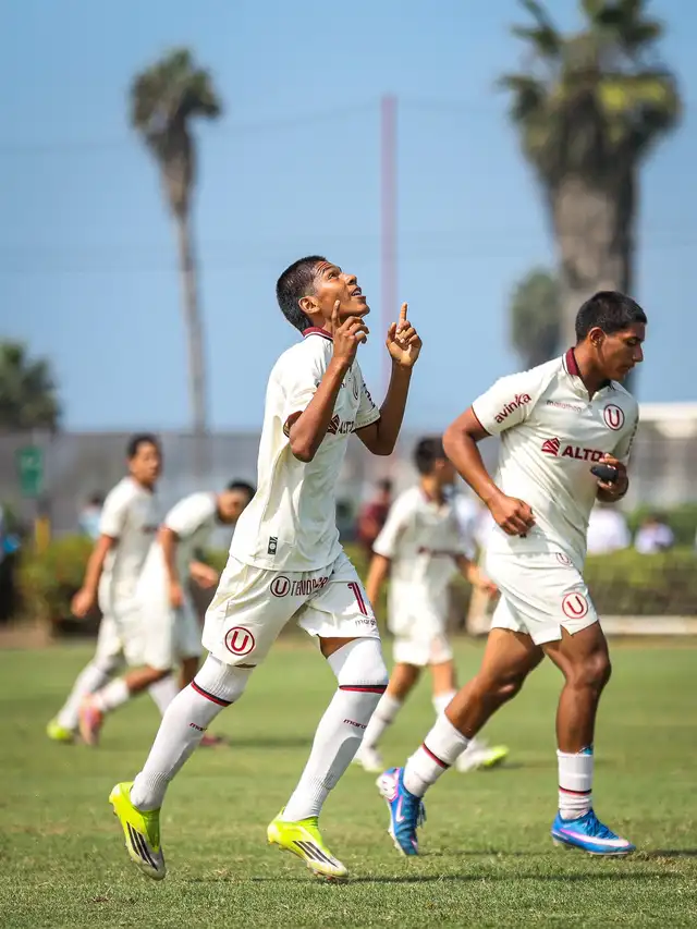 Universitario