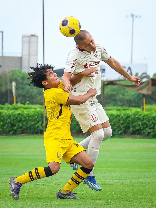 Universitario