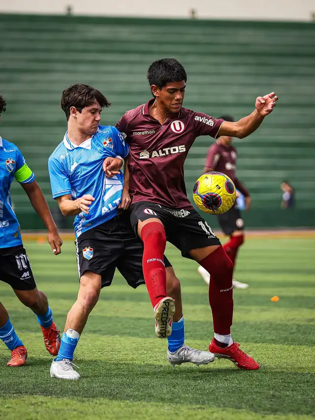 Universitario Universitario