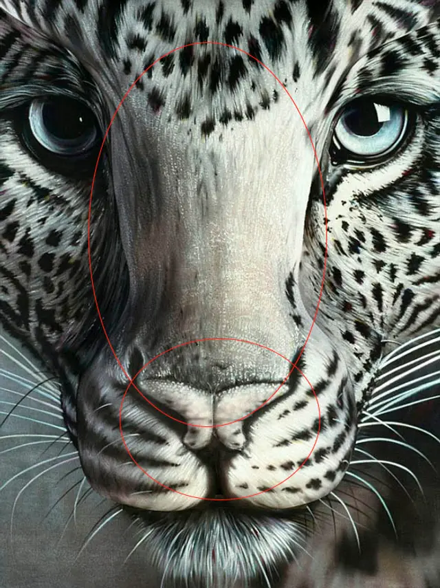 Reto visual