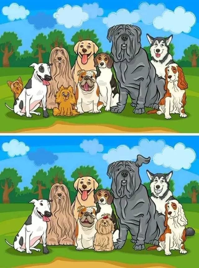 Reto visual completo