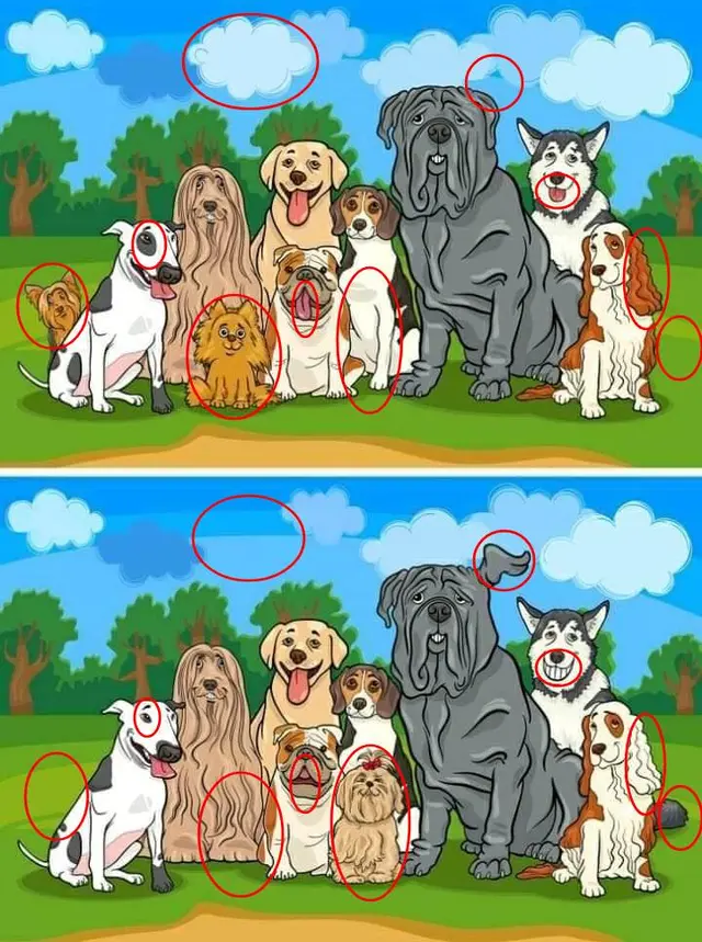 Solución reto visual