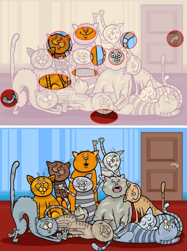 reto visual reto visual