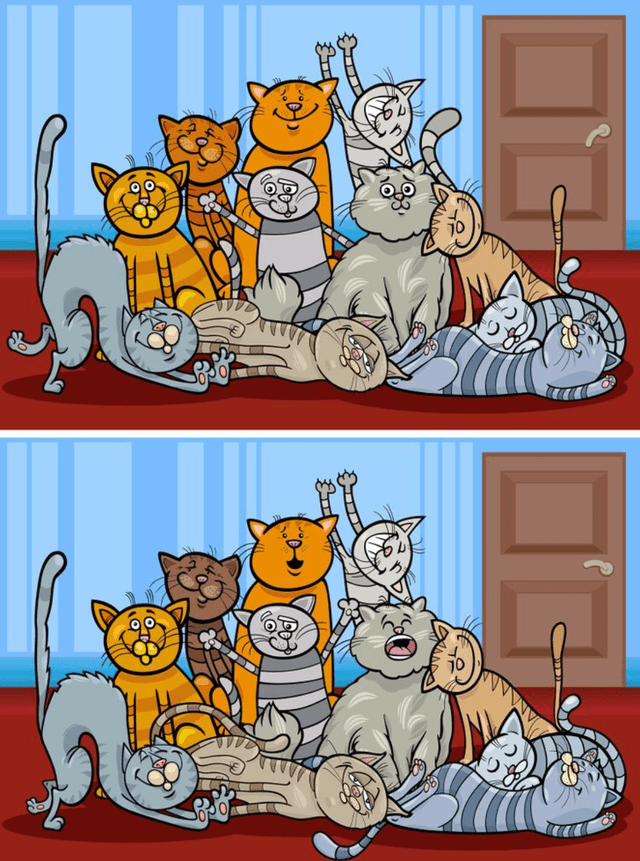 reto visual reto visual