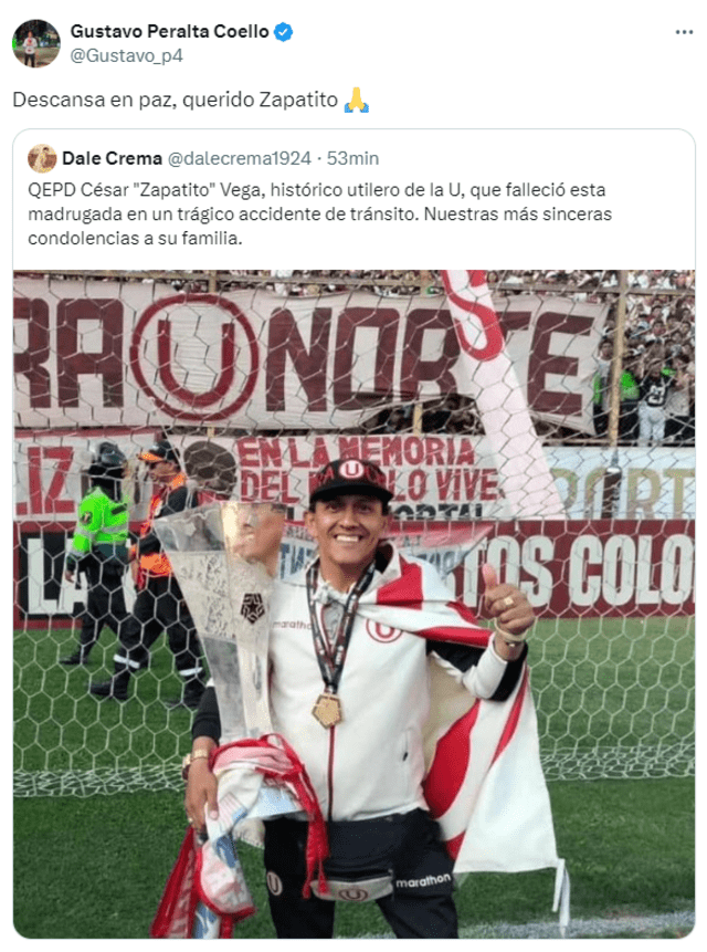 Universitario
