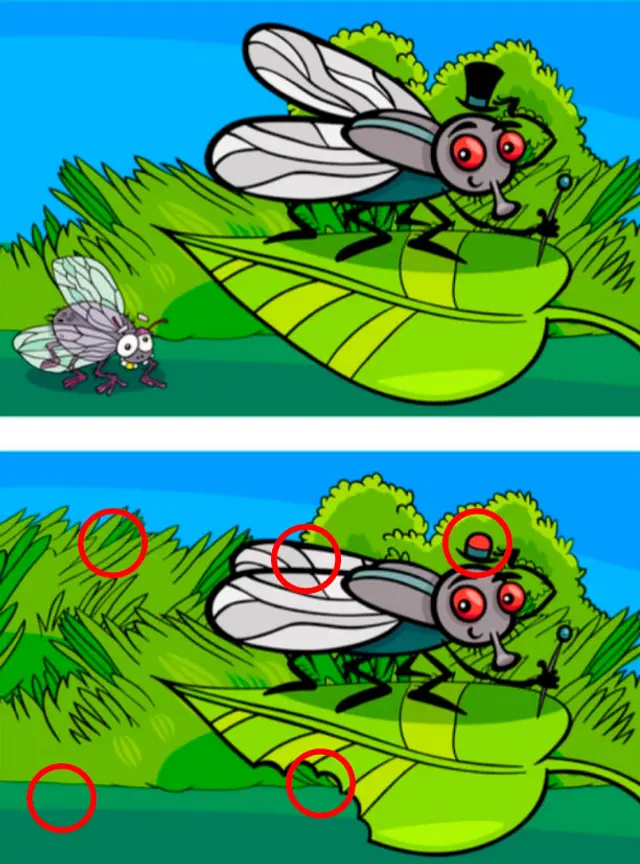 Reto visual Reto visual