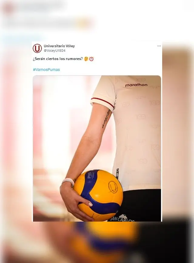 Universitario Universitario