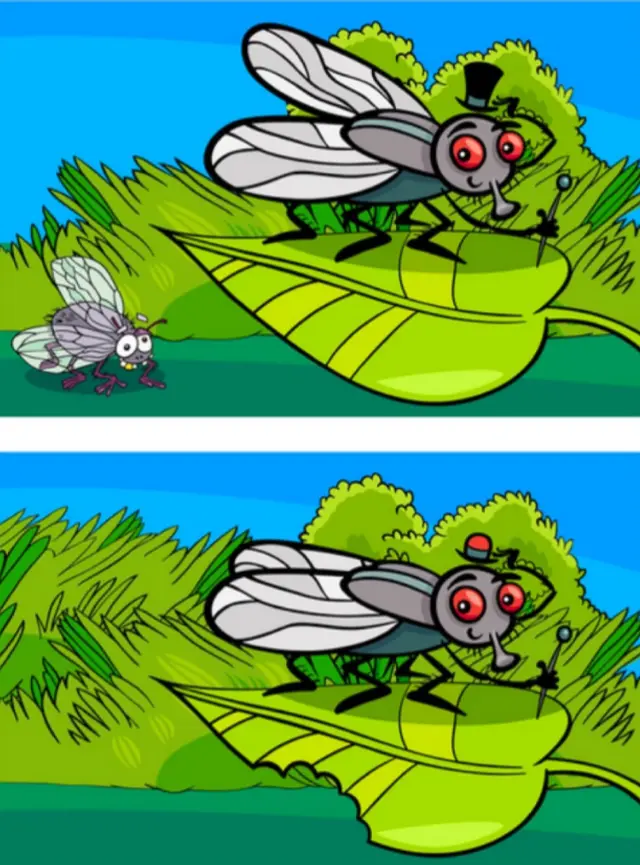 Reto visual Reto visual